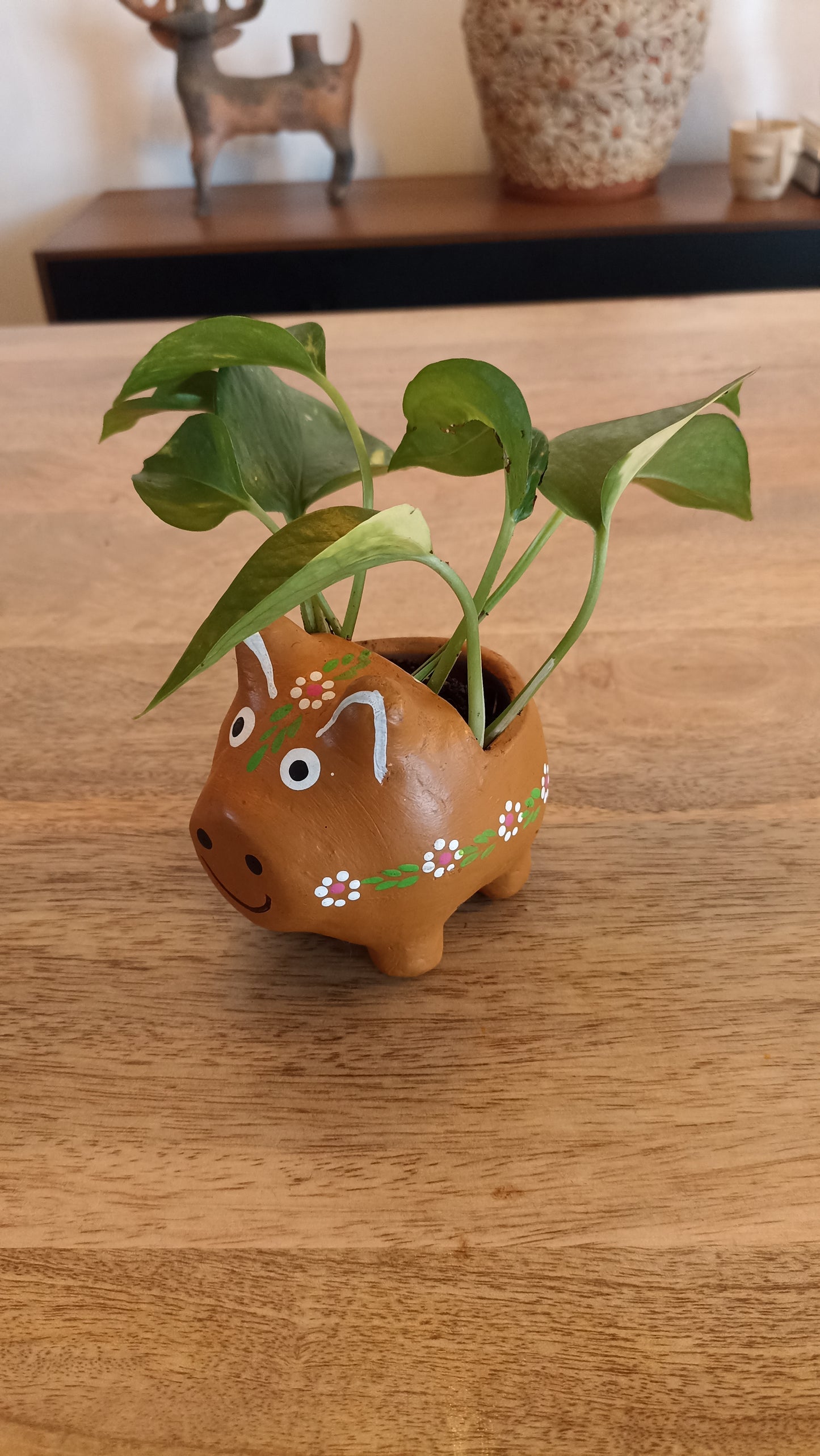 Maceta de puerquito chiquita