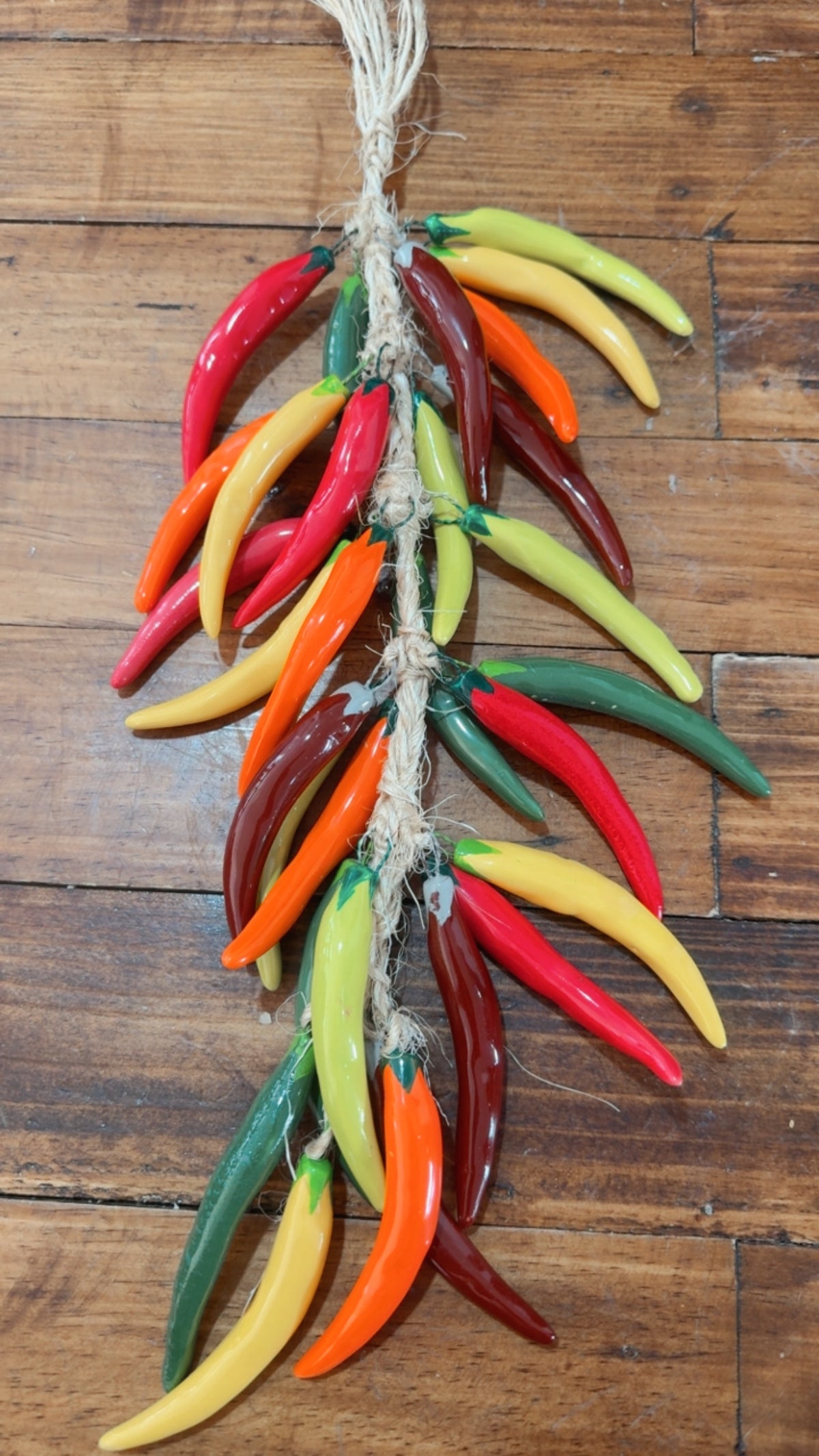 Ristra de chile de chiles de colores modelo 2