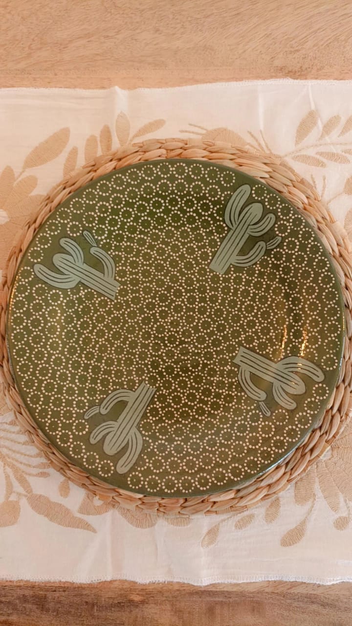 Plato principal cactus colección suculentas