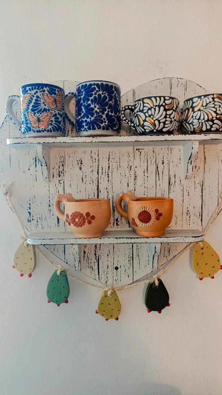 Guirnalda de nopales colección suculentas