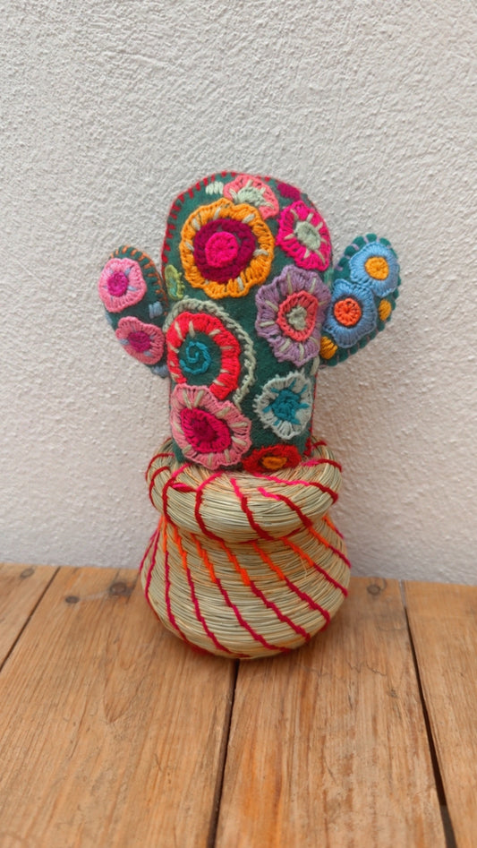 Alhajero Cactus modelo 6 Chiapas