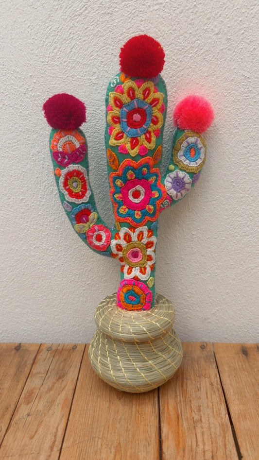 Alhajero Cactus modelo 10 Chiapas
