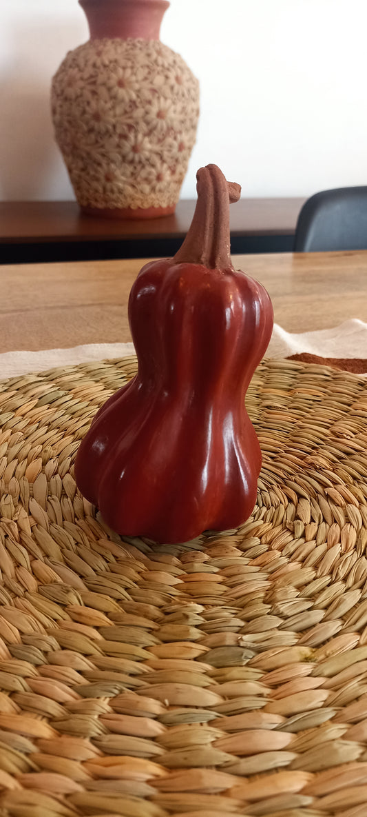 Calabaza 25 cms Zinapecuaro