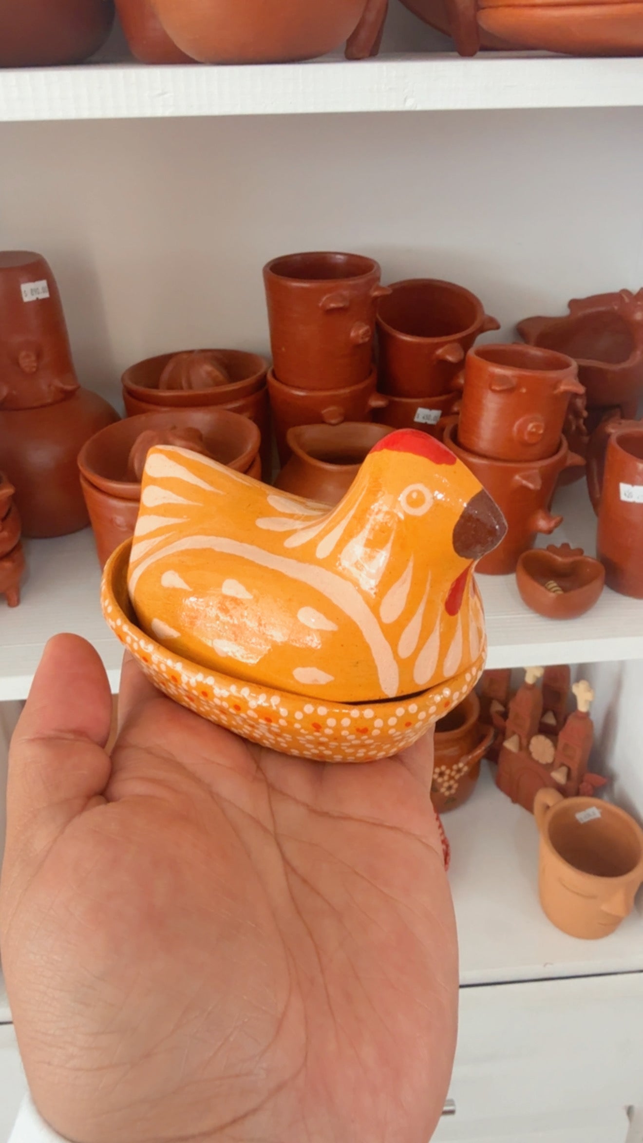 Gallina chiquita amarilla mantequillera primavera