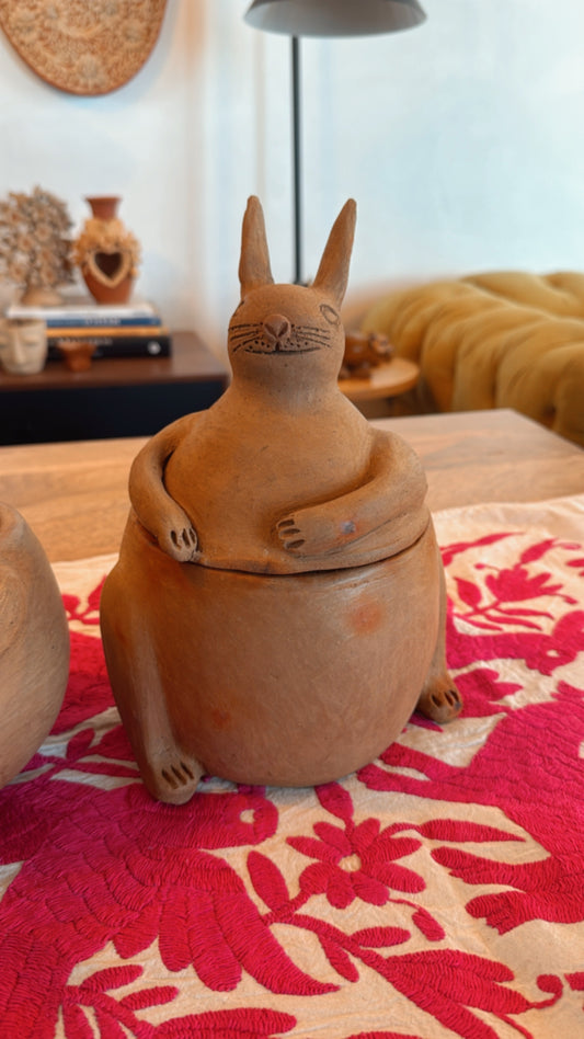 Galletero o maceta de conejito Zipiajo