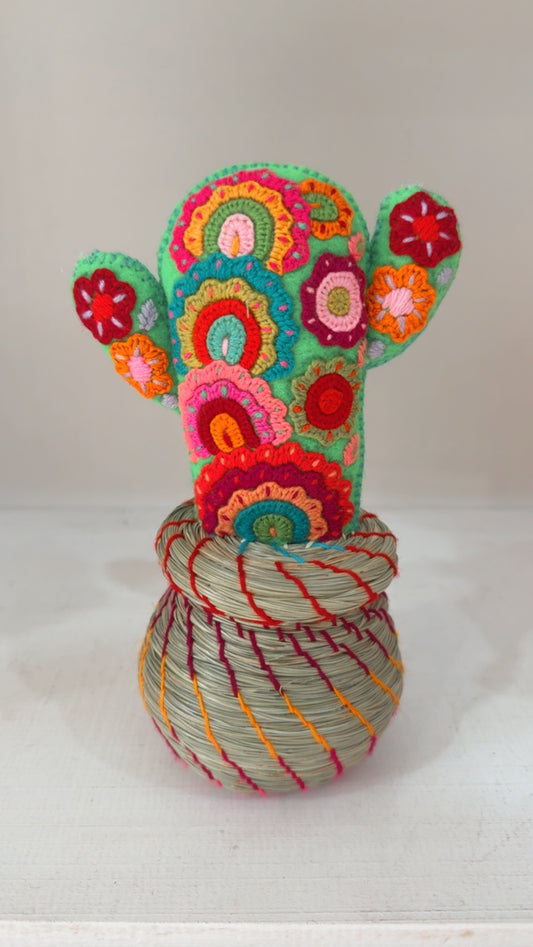 Alhajero Cactus modelo 5 Chiapas