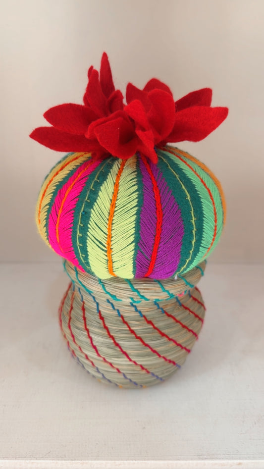 Alhajero Biznaga Chiapas