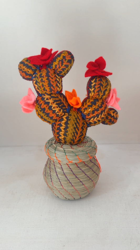 Alhajero Cactus modelo 3 Chiapas