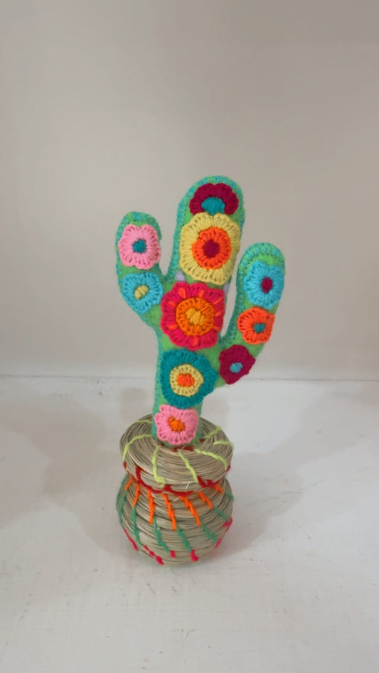 Alhajero Cactus modelo 10 Chiapas