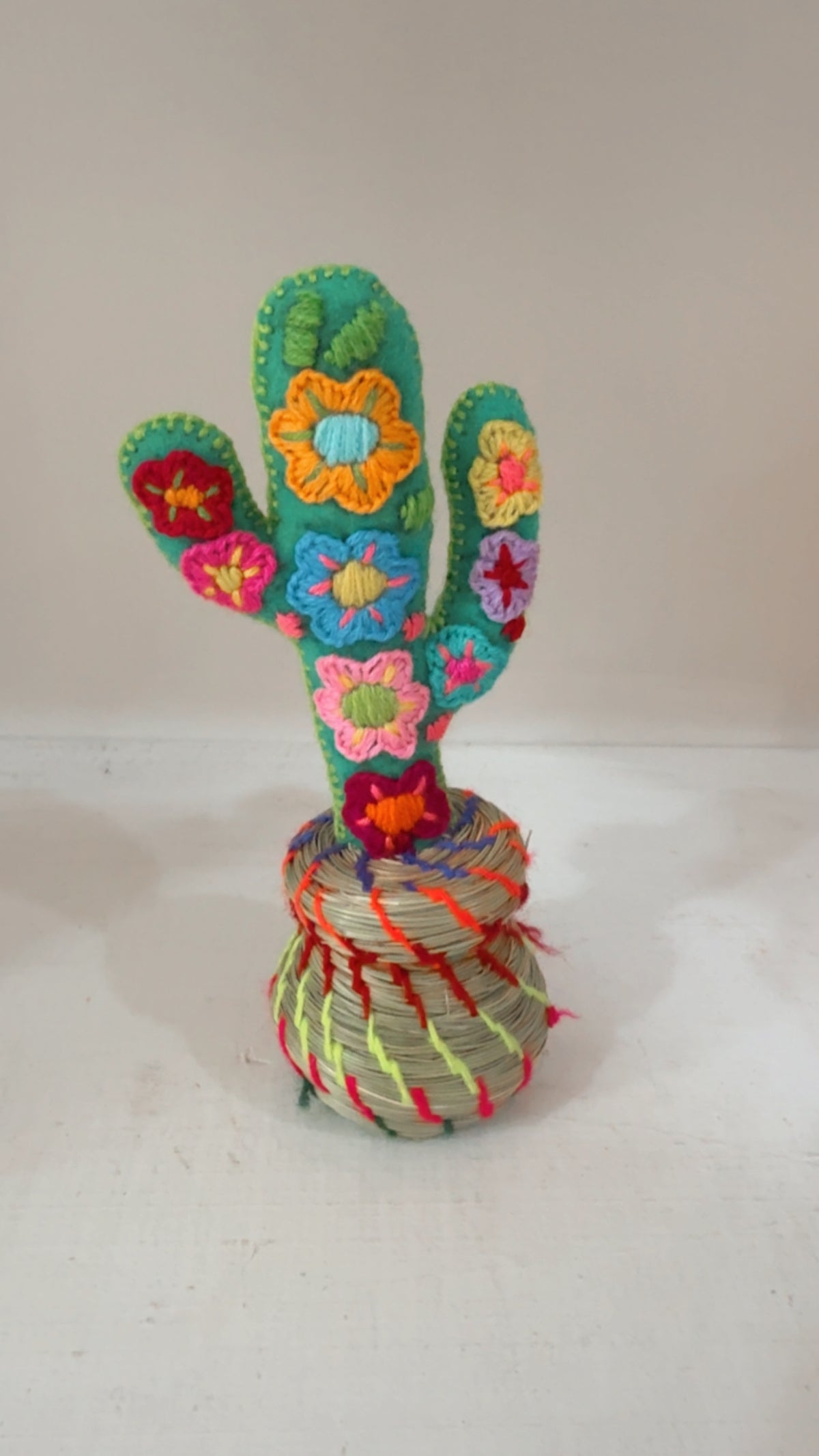 Alhajero Cactus modelo 9 Chiapas
