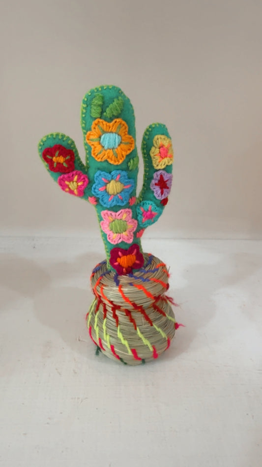 Alhajero Cactus modelo 9 Chiapas
