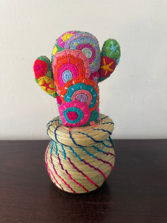 Alhajero Cactus modelo 5 Chiapas