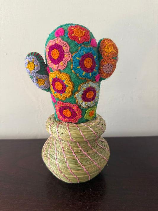 Alhajero Cactus modelo 6 Chiapas