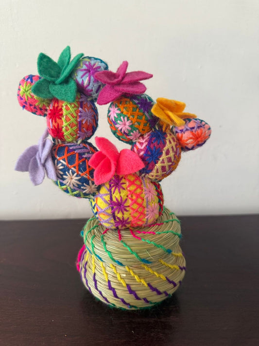 Alhajero Cactus modelo 7 Chiapas